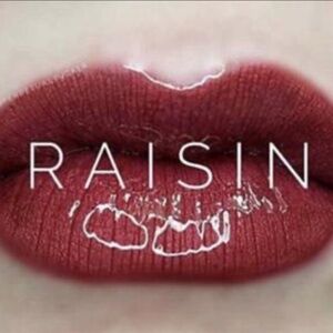 NEW LipSense Lip Color, Raisin (RETIRED, RARE FIND!)